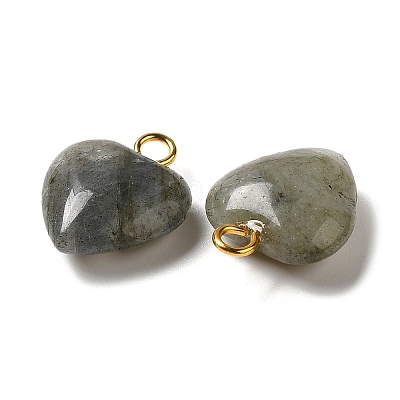 Natural Labradorite Pendants G-E603-01G-08-1