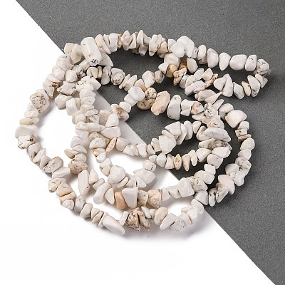 Magnesite Chip Bead Strands G-M205-75-1