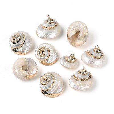 Electroplate Natural Spiral Shell Pendants SSHEL-N042-09-1