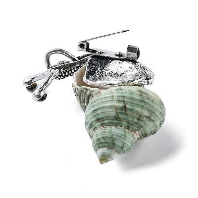 Snail Green Natural Conch Shell Fossil Brooch Pin JEWB-A020-01AS-01-1