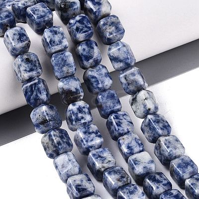 Natural Blue Spot Jasper Beads Strands G-Q608-10G-1