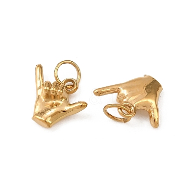 304 Stainless Steel Charms X-STAS-G364-09G-1