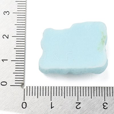 Resin Cabochons RESI-R456-06C-1