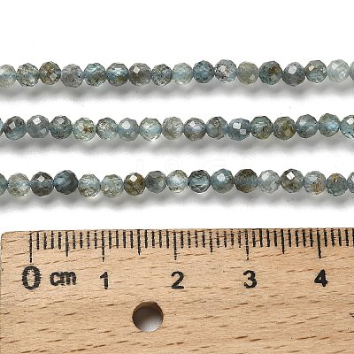 Natural Apatite Beads Strands LS-G-RM2025-A23-3mm-1