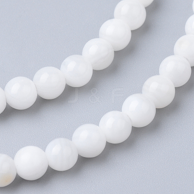Natural Freshwater Shell Bead Strands X-SHEL-S249-29-1