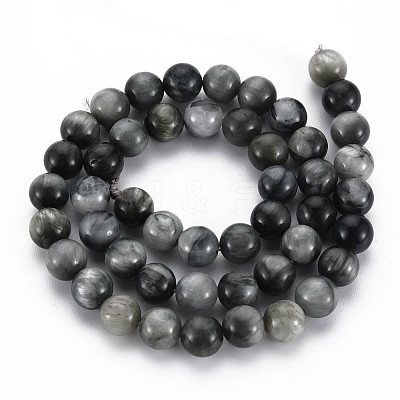Natural Hawk's Eye Beads Strands G-S333-8mm-034-1
