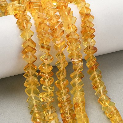 Natural Amber Beads Strands G-K376-C02-01-1