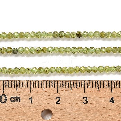 Natural Peridot Beads Strands G-B107-A06-01-1