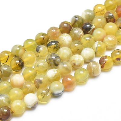 Natural Yellow Opal Round Bead Strands G-M296-02-6mm-1