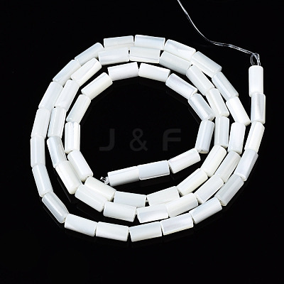 Natural Trochid Shell/Trochus Shell Beads Strands SSHEL-S266-020A-01-1