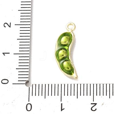 Alloy Enamel Pendants AL-CBA24A7-01G-02-1