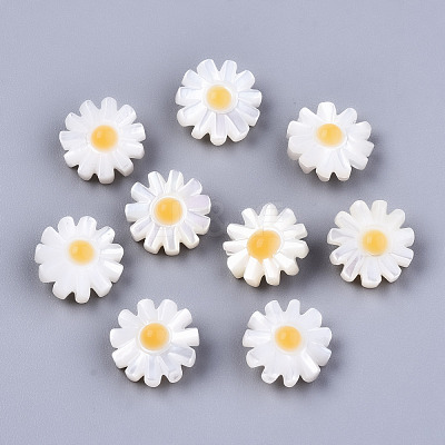Natural White Shell Mother of Pearl Shell Beads SHEL-S266-13A-1