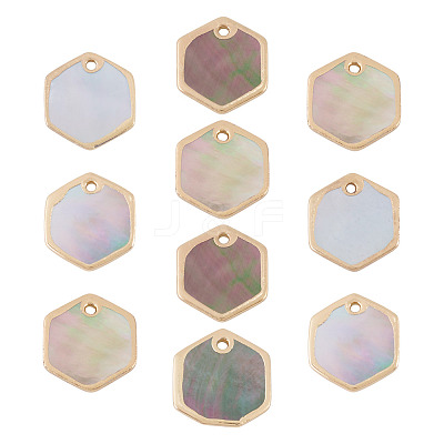 10Pcs Natural Black Lip Shell Hexagon Charms BSHE-TA0001-25-1