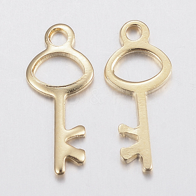 304 Stainless Steel Charms STAS-H436-62-1