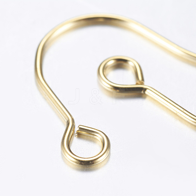 304 Stainless Steel Earring Hooks STAS-P162-13P-B-1