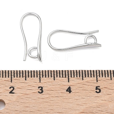 SHEGRACE Brass Earring Hooks XGR0003P-42P-1