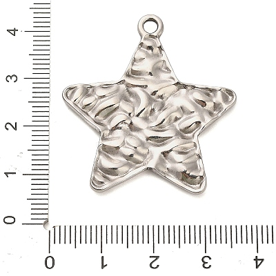 304 Stainless Steel Pendants STAS-P417-04B-P-1