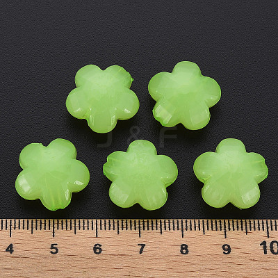 Imitation Jelly Acrylic Beads LS-MACR-S373-87-E06-1
