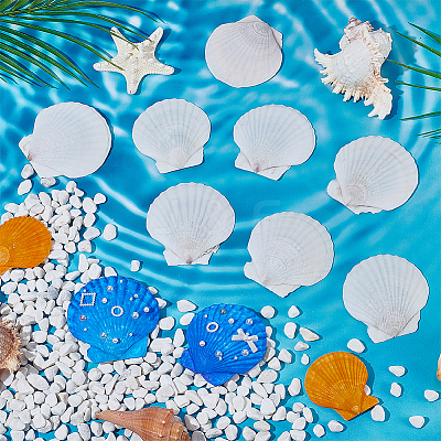 80Pcs Natural Shell Ornaments DIY-WA0001-03-1