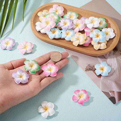 28Pcs 7 Colors Plumeria Flower Opaque Resin Cabochons CRES-TA0001-75-1