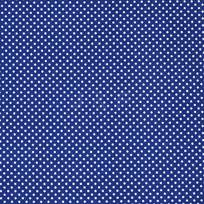 Polka Dot Pattern  Printed A4 Polyester Fabric Sheets DIY-WH0158-63A-05-1