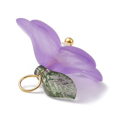 Transparent Acrylic Pendants PALLOY-JF02490-1