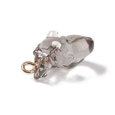 Transparent Resin Pendants RESI-E028-01G-02-1