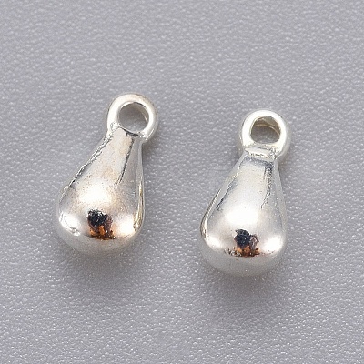 304 Stainless Steel Charms LS-STAS-G029-1S-1