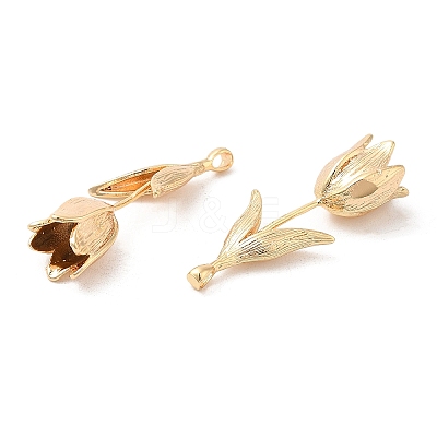 Brass Pendants KK-G468-56G-1