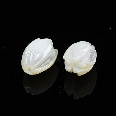 Natural Trochid Shell/Trochus Shell Beads SSHEL-T014-33-1