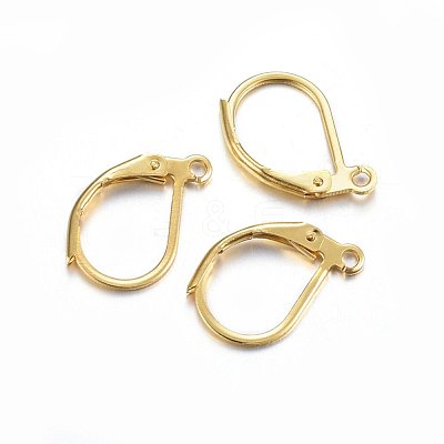 304 Stainless Steel Leverback Earring Findings X-STAS-P210-31G-1