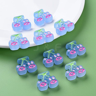 Transparent Acrylic Beads LS-X-MACR-S374-04B-04-1