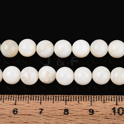 Natural Freshwater Shell Beads Strands X-SHEL-N038-05-1