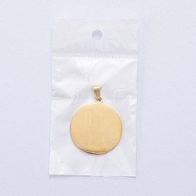 304 Stainless Steel Pendants STAS-I140-17G-1