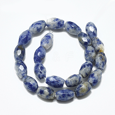 Natural Blue Spot Jasper Beads Strands G-S357-A06-1