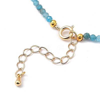 Natural Apatite Beaded Necklaces NJEW-JN02990-03-1
