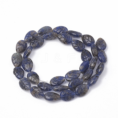 Natural Sodalite Beads Strands X-G-T098-08A-1