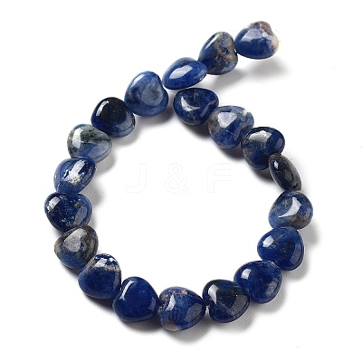 Natural Sodalite Beads Strands G-P528-C09-01-1