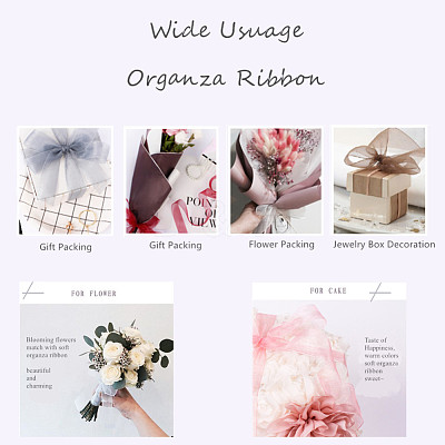 Organza Ribbon RS6mmY048-1