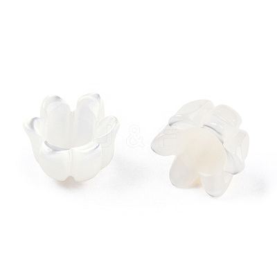 Natural White Shell Bead Caps SSHEL-N032-58A-1