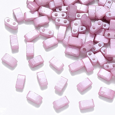 FGB 2-Hole Baking Paint Glass Seed Beads SEED-S031-M-599-1