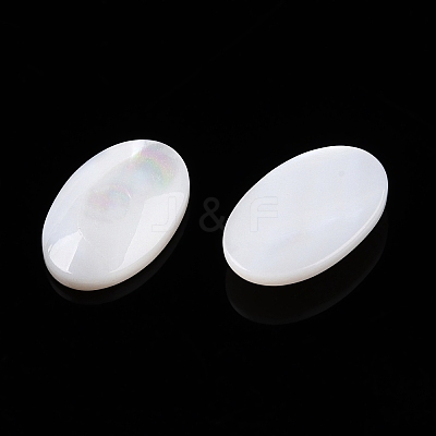 Natural White Shell Cabochons SSHEL-T017-06-1