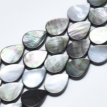 Natural Black Lip Shell Beads SSHEL-N036-036-1