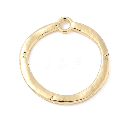 Alloy Pendants PALLOY-F316-01B-G-1