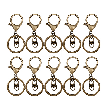 10Pca Iron with Zinc Alloy Keychain Clasps PW-WG98F39-01-1