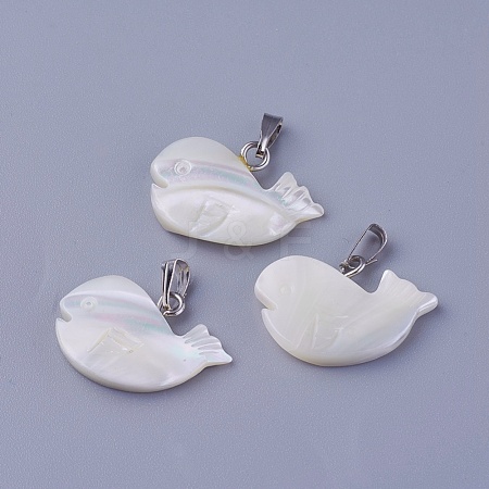 Shell Pendants SSHEL-E571-02P-1