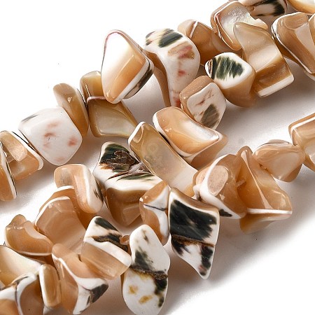 Natural Trochid Shell/Trochus Shell Beads Strands SHEL-B003-02A-1