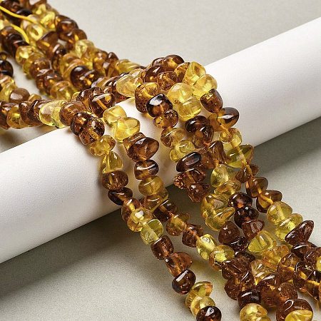 Natural Amber Beads Strands G-L095-L01-04-1