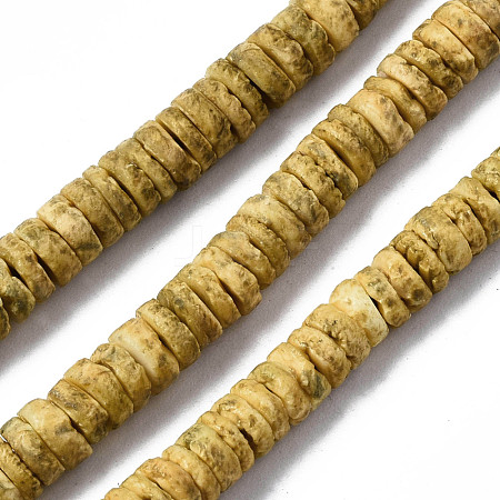 Natural Sea Shell Beads Strands SSHEL-N032-22E-1