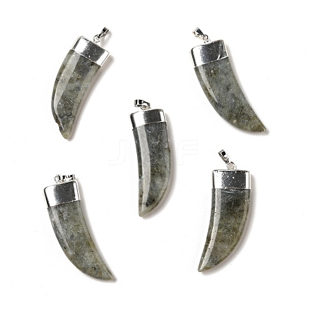 Natural Labradorite Pendants G-P474-04S-03-1